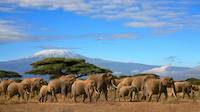 Gdje se nalazi Tanzanija? Zemlja Opstanka, zemlja Serengetija, lavova, slonova i Kilimandžara